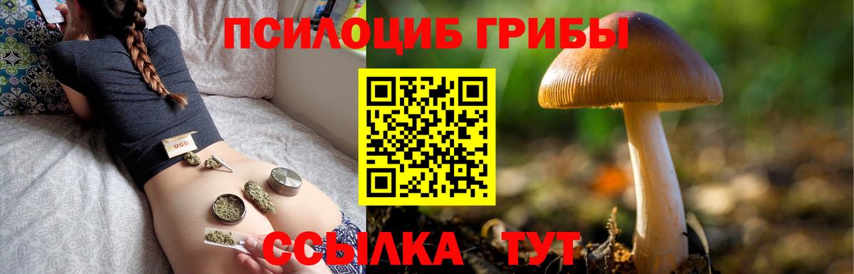 Псилоцибиновые грибы Psilocybine cubensis Сочи